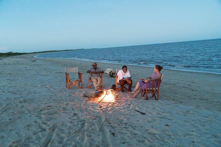 Where the Beach Meets the Bush: Saadani National Park Day Trip from Dar es Salaam photo 2