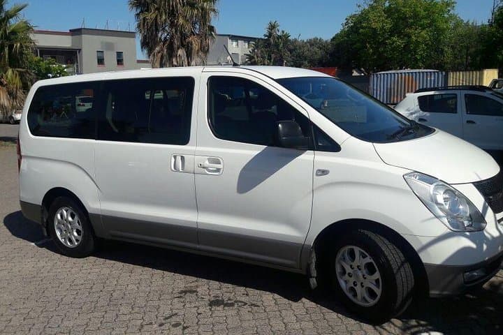 Cape Town City Tour: Table Mountain & Lion's Head in Four Hours