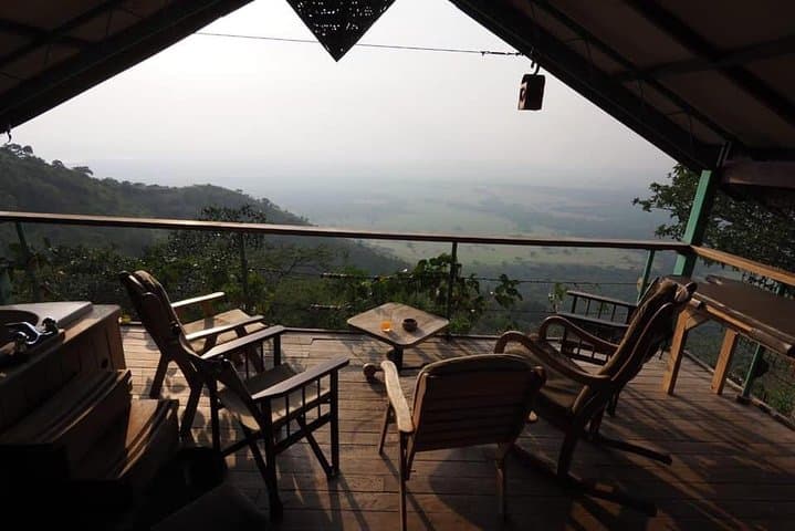 Gorilla and Chimp Experience Holiday: Trek Uganda's Primate Forests photo 2