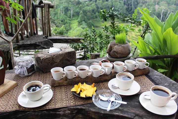 Two-Day Bali Cultural Circuit: Waterfalls, Rice Terraces & Sunset Temples