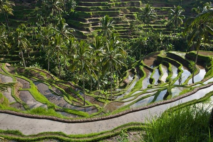 Two-Day Bali Cultural Circuit: Waterfalls, Rice Terraces & Sunset Temples photo 6
