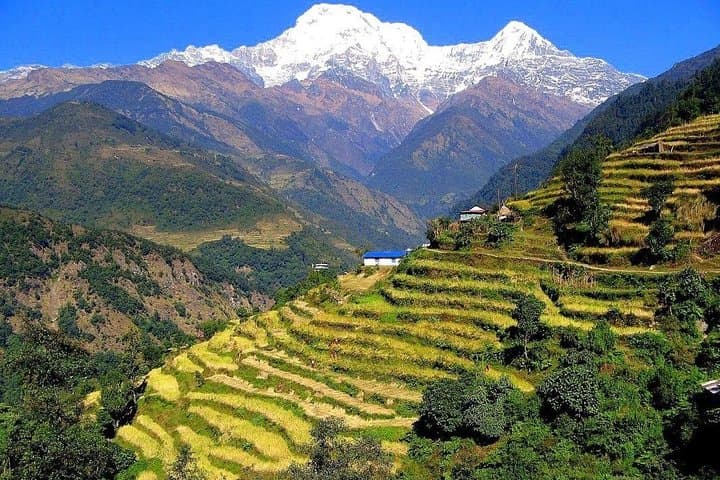 3-Day Ghandruk Loop Trek from Pokhara - Annapurna Views & Gurung Village photo 3