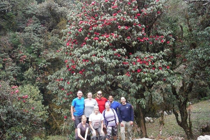 Luxury Annapurna Base Camp Trek — 14-Day Guided Teahouse Route to ABC photo 6