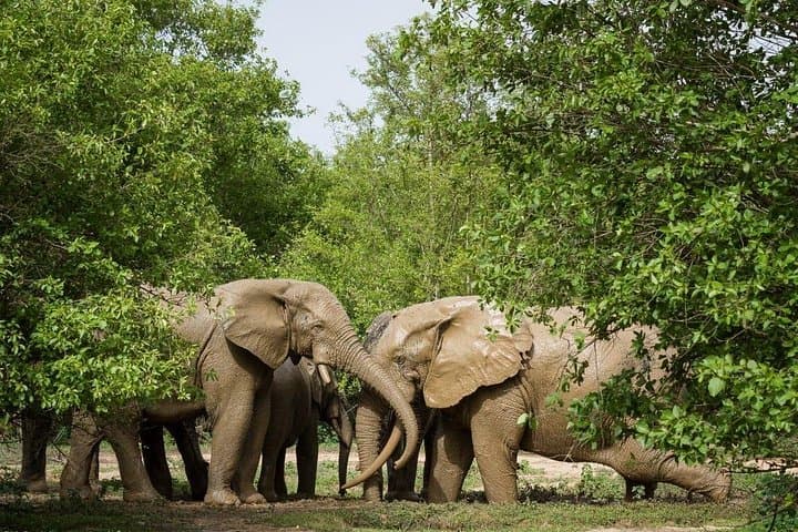 10-Day Northern Ghana Cultural and Wildlife Adventure photo 2