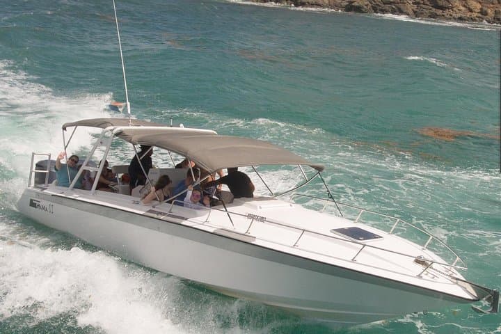 three-island-snorkel-adventure-st-maarten-turtles-pinel-tintamarre-creole-rock photo 1