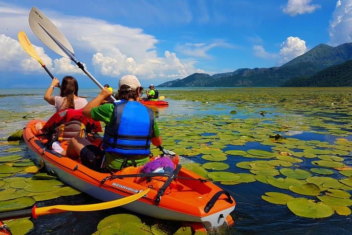Paddle Skadar Lake: Guided Kayak Tour from Virpazar to Lesendro