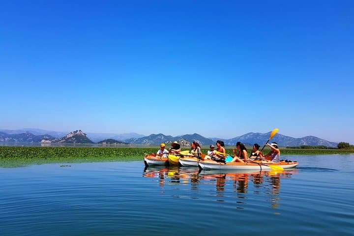 Paddle Skadar Lake: Guided Kayak Tour from Virpazar to Lesendro photo 3