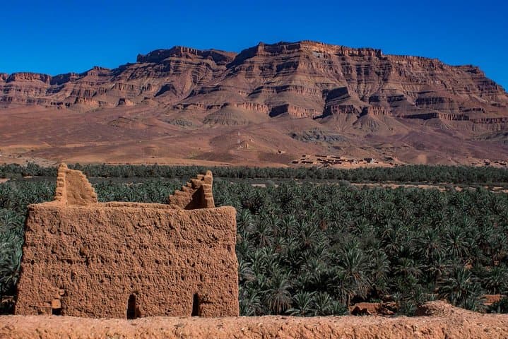 Road to Ait Ben Haddou and Ouarzazate: Day Trip from Marrakech photo 5
