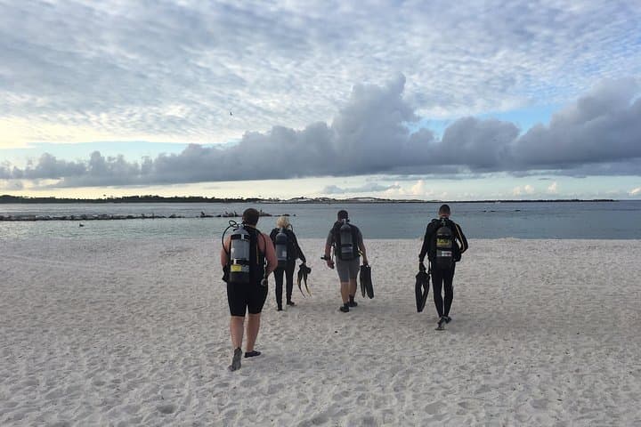 Guided Shore Dives at St. Andrews State Park — Panama City Beach Jetty Dives photo 1