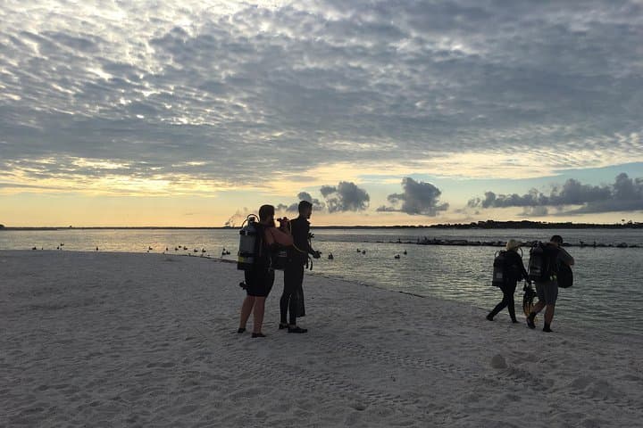Guided Shore Dives at St. Andrews State Park — Panama City Beach Jetty Dives photo 2