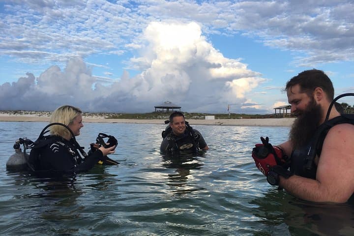 Guided Shore Dives at St. Andrews State Park — Panama City Beach Jetty Dives photo 4