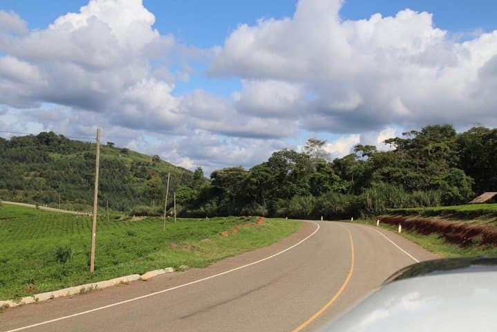 2-Day Chimpanzee Trek at Kibale National Park — Kanyanchu Chimp Trek from Kampala photo 5