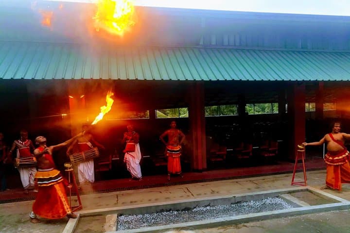 Private Day Tour to Kandy from Colombo: Temple, Tea & Spice Gardens photo 4