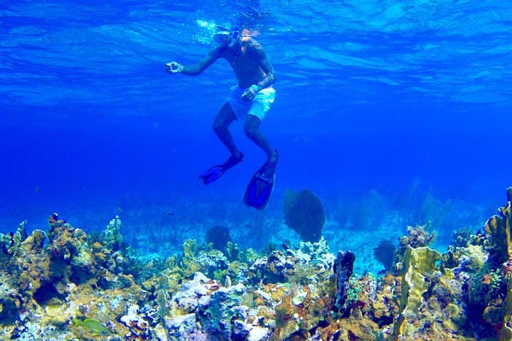 Glass-Bottom Boat and Snorkel Adventure to Booby Cay, Negril photo 3
