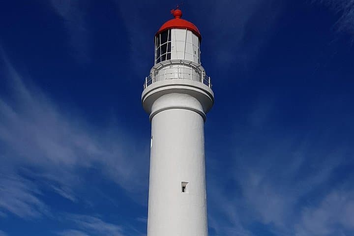 Private Luxury Great Ocean Road Reverse Tour from Melbourne — Twelve Apostles, Otways & Wildlife photo 4