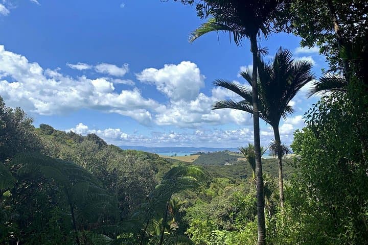 Te Ara Hura Waiheke: A 5-Day Private Guided Walk Around the Island