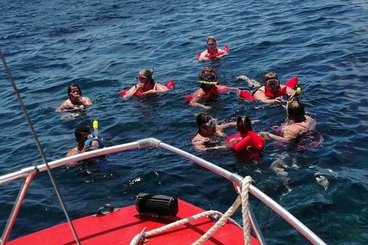 Roatán Guided Boat Tour & Snorkeling — Dolphin Encounter & Reef Exploration