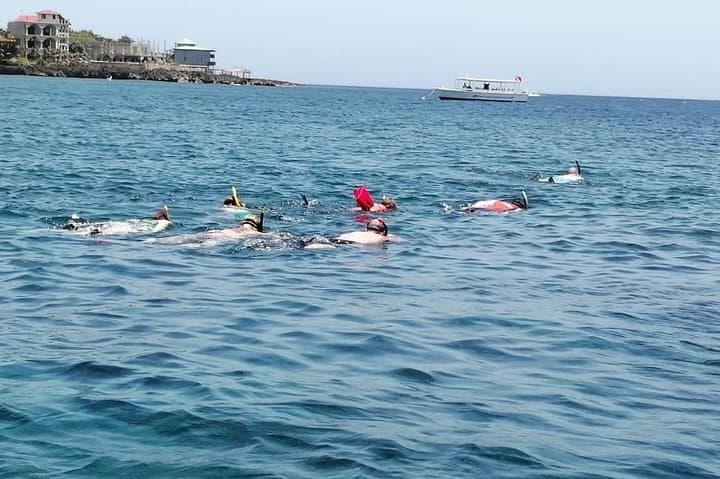 Roatán Guided Boat Tour & Snorkeling — Dolphin Encounter & Reef Exploration photo 2
