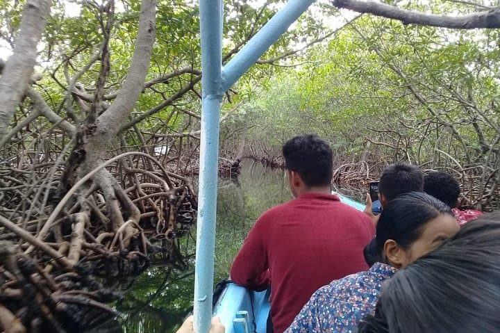 Roatán Guided Boat Tour & Snorkeling — Dolphin Encounter & Reef Exploration photo 3