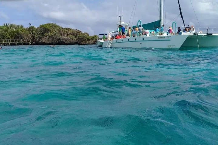 Roatán Guided Boat Tour & Snorkeling — Dolphin Encounter & Reef Exploration photo 4