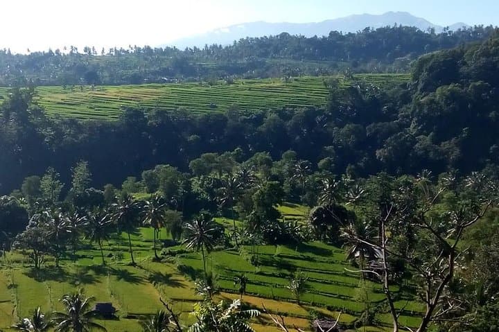 Senaru Waterfalls: Sendang Gile & Tiu Kelep Private Day Tour in Lombok photo 3