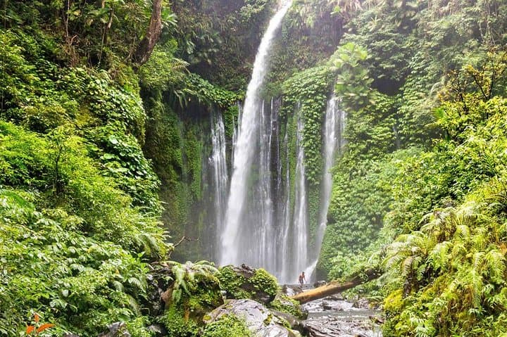 Senaru Waterfalls: Sendang Gile & Tiu Kelep Private Day Tour in Lombok