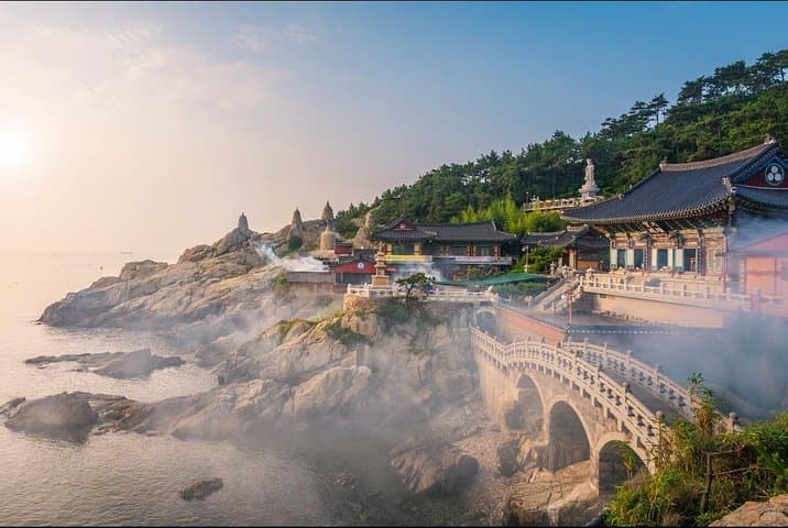 Busan Private 8-Hour Flexible City Tour — Haeundae, Gamcheon & Coastal Views photo 5