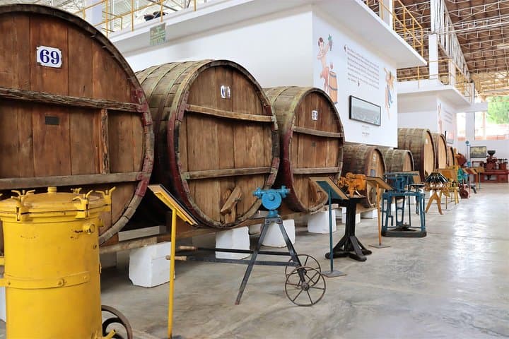 Tacama Vineyard and Huacachina Dune Buggy Day Trip from Lima photo 4