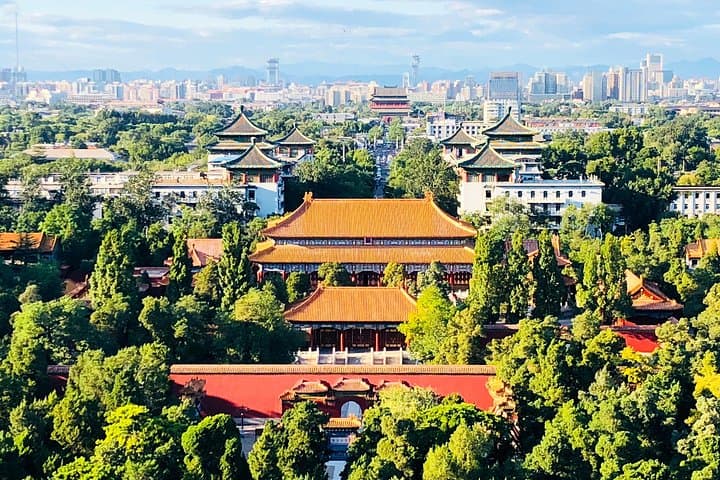 Half-Day Private Tour: Forbidden City, Tiananmen & Hutong Highlights in Beijing photo 3