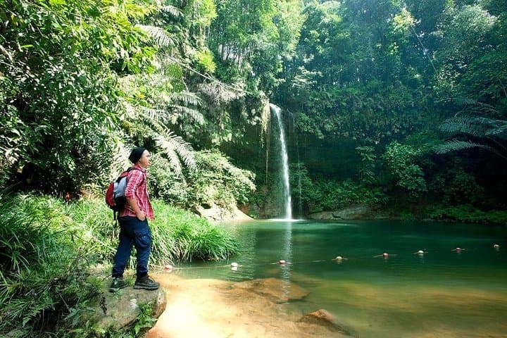 Half-Day Lambir Hills Hike & Waterfall Swim from Miri photo 3