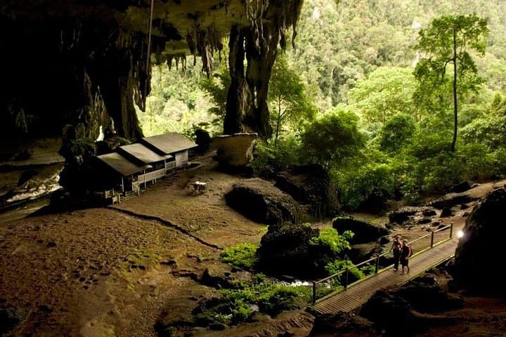Niah National Park Day Trip from Miri — Caves, Plankwalk & Archaeology photo 3