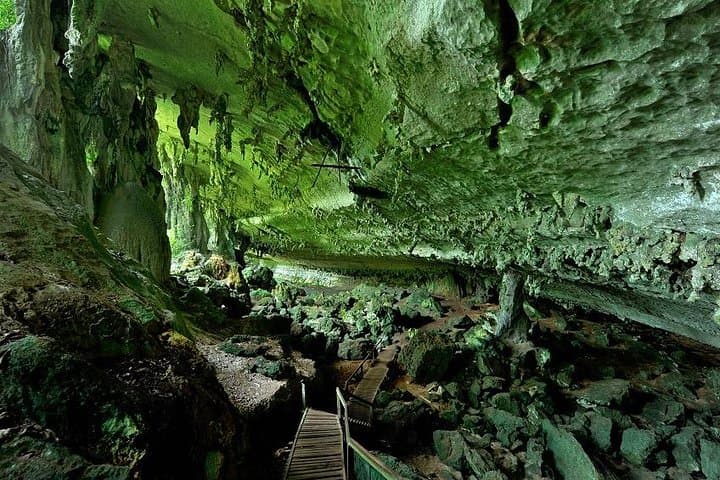 Niah National Park Day Trip from Miri — Caves, Plankwalk & Archaeology photo 4