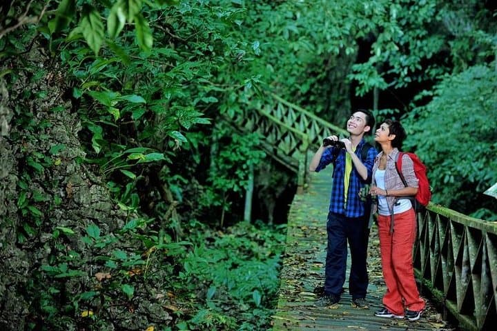 Niah National Park Day Trip from Miri — Caves, Plankwalk & Archaeology photo 5