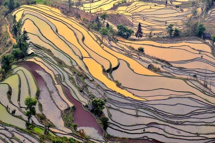 7-Day Yunnan Highlights: Kunming to Lijiang via Yuanyang Rice Terraces photo 1
