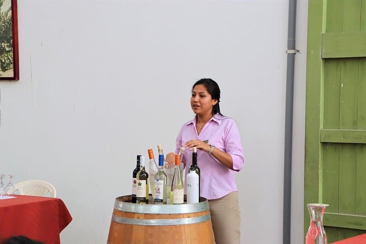 Tacama and El Catador Wine & Pisco Tour from Huacachina photo 4