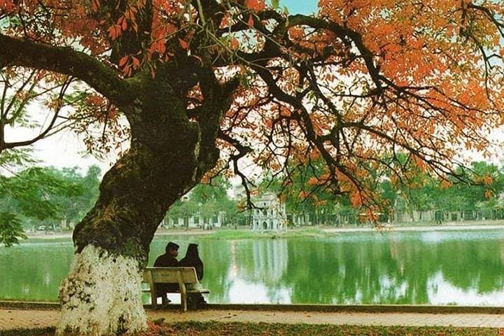 Vietnam Delights: 10-Day North-to-South Cultural & Nature Tour photo 3
