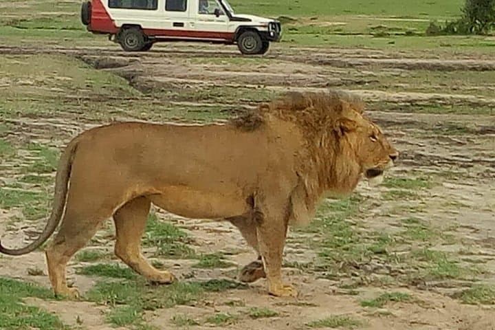 Budget 4-Day Maasai Mara and Lake Nakuru Safari photo 2