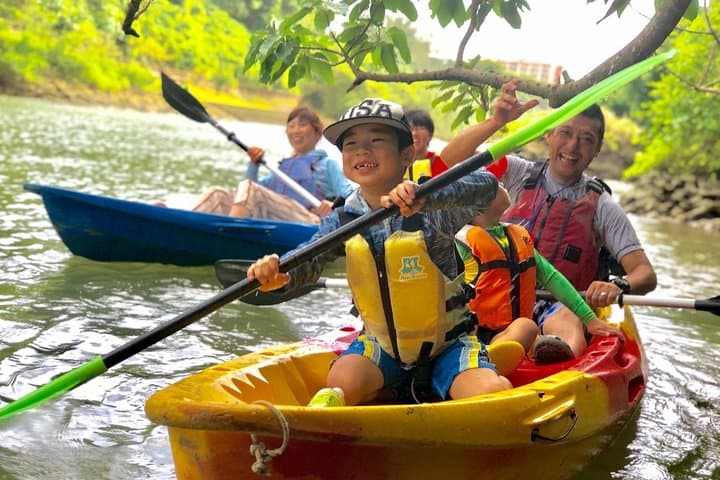 Mangrove Kayaking on Hija River: Family-Friendly Nature Tour in Kadena, Okinawa