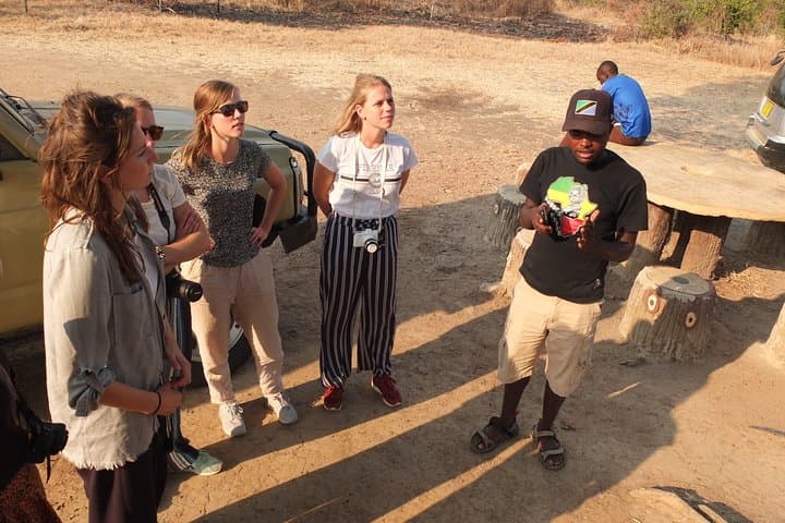 3-Day Mikumi Safari from Dar es Salaam — Game Drives, Hippo Pool & Mkata Floodplain photo 3