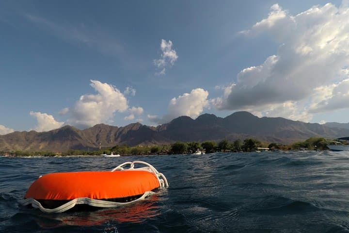 Pemuteran Freediving AIDA 1: One-Day Theory, Pool & Ocean Course photo 3