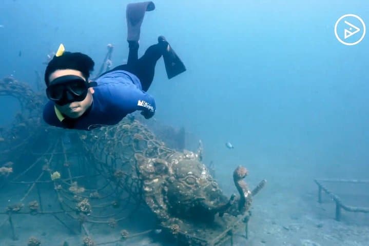 Pemuteran Freediving AIDA 1: One-Day Theory, Pool & Ocean Course photo 2