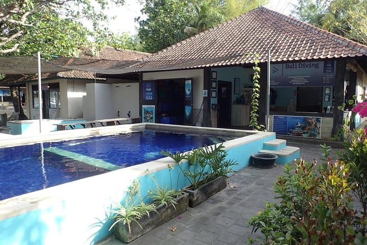 Pemuteran Freediving AIDA 1: One-Day Theory, Pool & Ocean Course photo 6