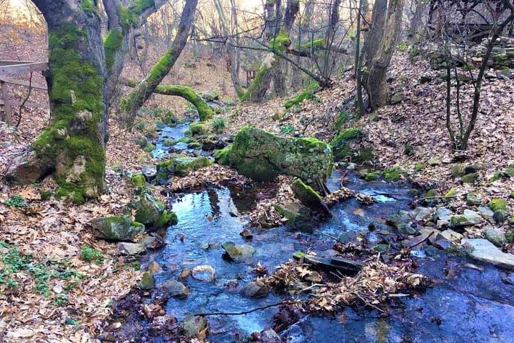Strumica Monasteries & Kolesino Waterfall Full-Day Tour from Skopje photo 3