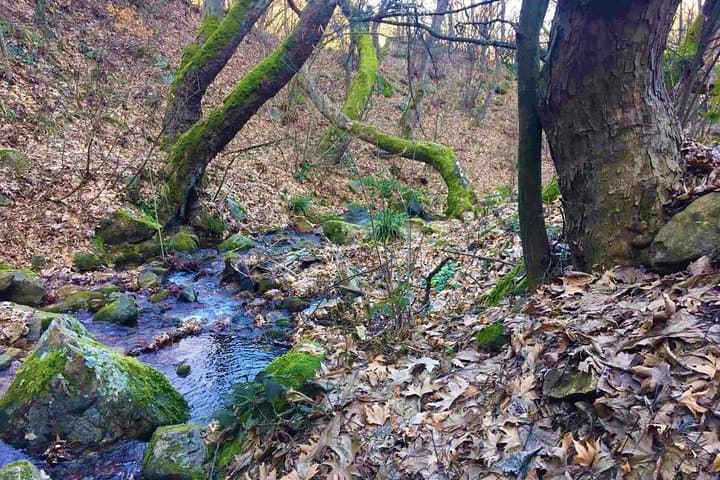 Strumica Monasteries & Kolesino Waterfall Full-Day Tour from Skopje photo 4