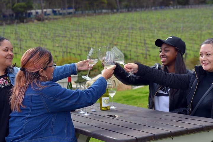 Private Cape Winelands Tour: Stellenbosch & Franschhoek Wine Tram Experience photo 4