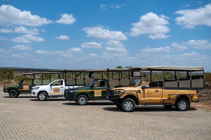 Morning Kruger Safari: Half-Day Wildlife Drive in Kruger National Park