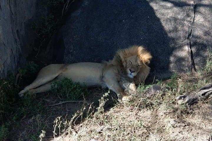 4-Day Serengeti, Tarangire & Ngorongoro Wildlife Safari photo 2