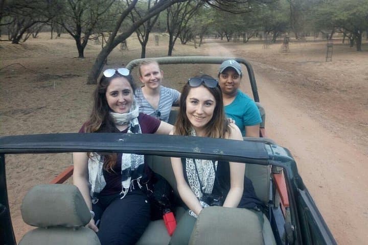 Jhalana Leopard Safari and Chand Baori Stepwell Day Tour from Jaipur photo 2