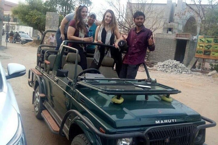 Jhalana Leopard Safari and Chand Baori Stepwell Day Tour from Jaipur photo 3