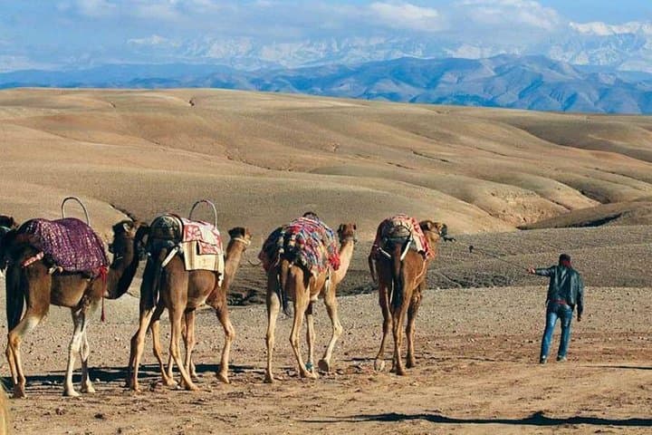 Agafay Desert Camel Ride: Sunset Tour From Marrakech photo 3